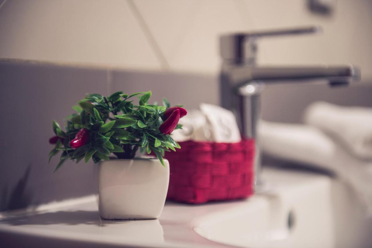 San Francesco A Ripa Apartamento Roma